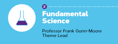 The SDRC Impact Report 2019- Fundamental Science Theme