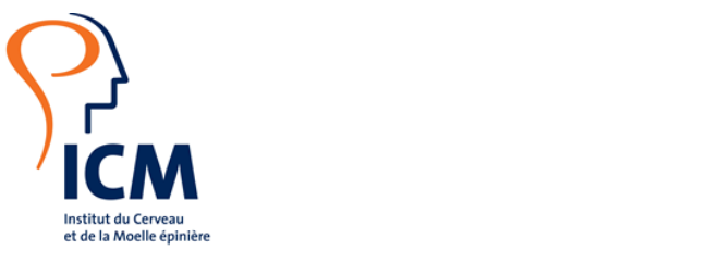 CALL FOR APPLICATIONS FOR A GROUP LEADER AT ICM IN PARIS, France