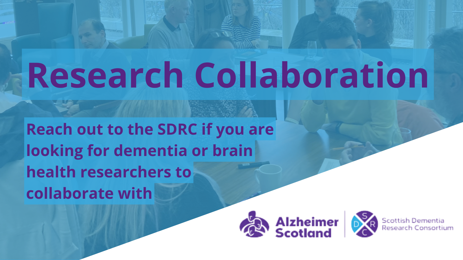 Collaborate with SDRC members