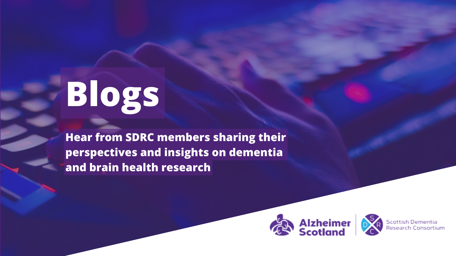 Do you have insights to share with other researchers? Write a blog for the SDRC!