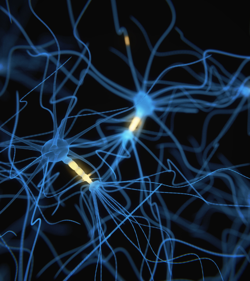 blue and yellow neurons
