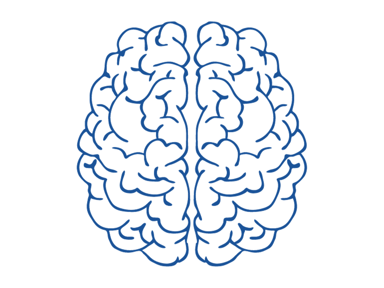 Blue brain outline